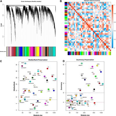 Integrated Network Analysis to Identify Key Modules and Potential Hub Genes Involved in Bovine Respiratory Disease: A Systems Biology Approach